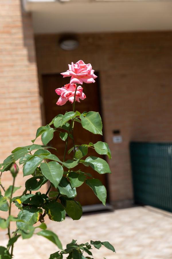 Modern House With Courtyard And Parking - Assisi Villa Santa Maria Degli Angeli  Bagian luar foto